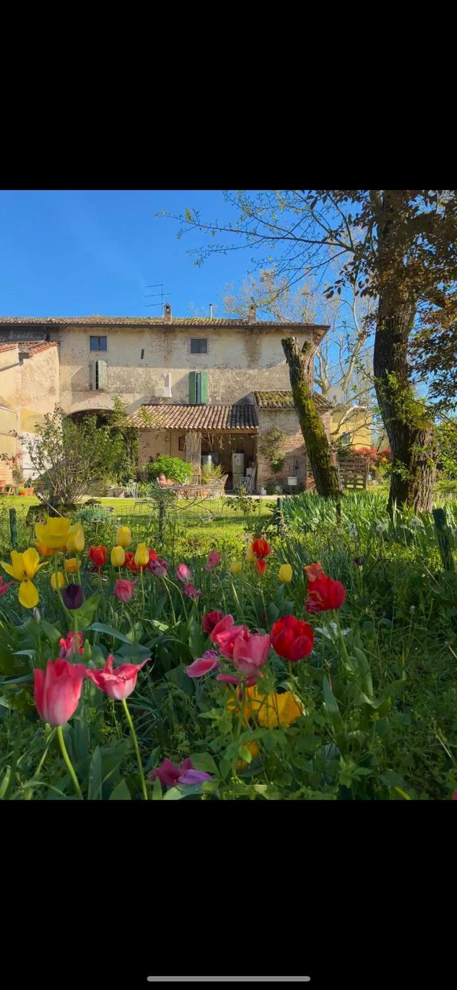B&B Ostria Vento Medesano Dış mekan fotoğraf